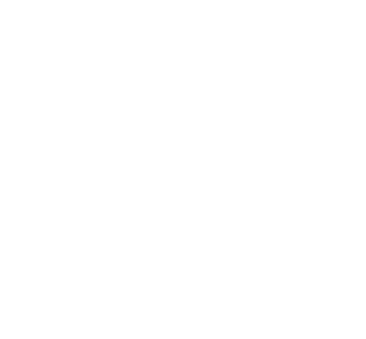 Fli 53 Faconnage Et Conditionnement Laval Logo 1